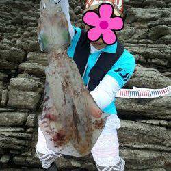 間人　ボトムドリフトで攻めて1320gのアオリイカ