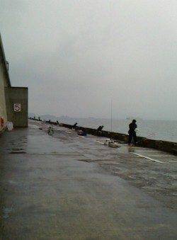 狙って釣った気持ちよさ！　北港魚つり公園のハマチ