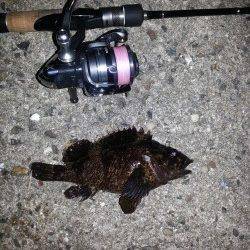 淀川河口周辺でメバリング〜爆風でガシラ・ソイのみで納竿