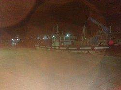 林崎漁港で新子のタコ釣れました〜シーズン開幕かな？