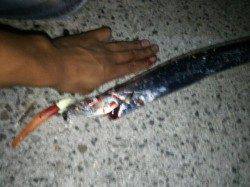 中浜にてワインドで太刀魚狙い〜ちょっとした入れ食いでした♪