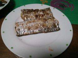 洲本にてルアーで太刀魚を狙いました!!