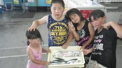 堺堤防でサビキ釣り！イワシが釣れました