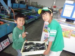 みなべの一本松漁港にてグレ・シマアジ・豆ア…