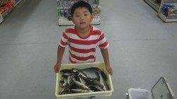 キッズ釣果　すさみの堤防でフカセ釣りを楽しみました