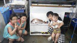 新芳養の駐車場前にて夕方にマダイがヒット！！