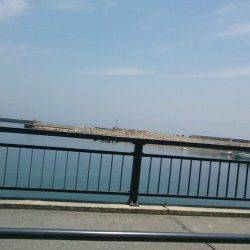 おのころ愛ランド周辺で投げ釣り&サビキ〜メバル・キス・アジ・イワシなど