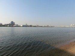 淀川河口　一年振りのハゼ釣り釣行