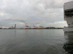 舞洲　親子で楽しむ休日のファミリーフィッシング