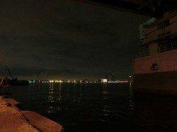 舞洲　雨の合間を見てのアジング釣行