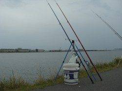 悪天候の中、うなぎ狙いのぶっこみ釣り　終了間際に待望の一匹