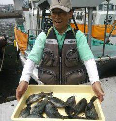 岸和田一文字の梅雨グレ釣果