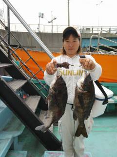 岸和田一文字　落とし込みで良型チヌが釣れて…