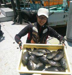 岸和田一文字　フカセでグレ12尾の釣果