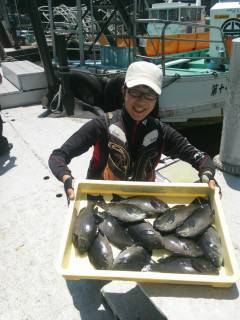 岸和田一文字　フカセでグレ12尾の釣果