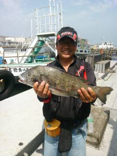 岸和田一文字は本日も良型チヌ☆ 落とし込み…