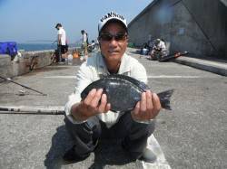 北港釣り公園　カゴ釣りでグレ＆マダイの釣果…