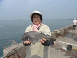 北港釣り公園　カゴ釣りでチヌ＆グレ