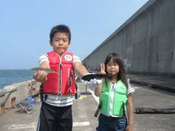 北港釣り公園　グレ＆小アジの釣果