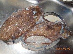 小浜エリアにて夕食後コウイカ狙いで出撃