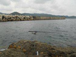 神谷崎へヤエン釣りに行ってきました