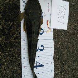 白灯台周辺でシーバスエラ荒いでフックアウト〜釣果はマゴチ・セイゴ