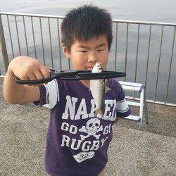 南芦屋浜ベランダでサビキ釣り〜小サバ・さっぱの釣果