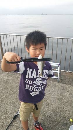 南芦屋浜ベランダでサビキ釣り〜小サバ・さっ…