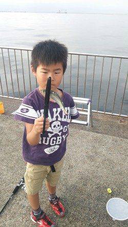 南芦屋浜ベランダでサビキ釣り〜小サバ・さっぱの釣果