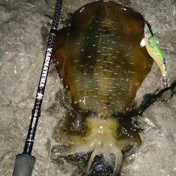 中紀エリアでエギング〜イカとやり取り楽しめました♪