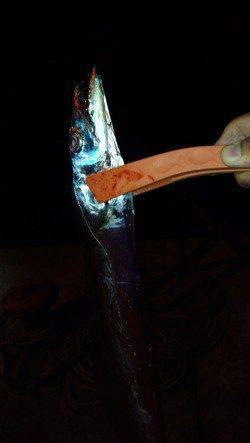 芳養漁港 ルアーゲームの思わぬ外道はタチウオ1mオーバー