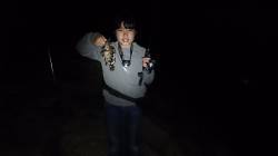 須磨ボトムワインドでガシラ狙い〜高反応でポ…