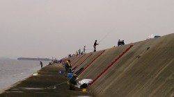 大サバが釣れている武庫川一文字へ　なかなかの引きで楽しめました