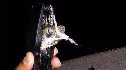 須磨でアジング〜新調したワームで釣れて満足でした♪