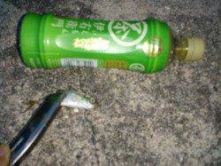 松帆の浦にてアジング〜イワシ・メバル・ベラ・アジ