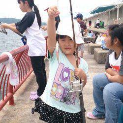 平磯海づり公園　レンタルタックルの胴突きでベラ2ケタ釣果