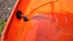 久美浜の湾内にてファミリーフィッシング楽しめました♪