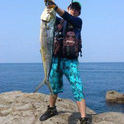 小浦にて今年初メーターシイラ釣れました♪