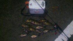 鳥取ノ荘でメバリング〜レンジがランダムに変わって面白かったです！