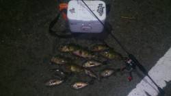 鳥取ノ荘でメバリング〜レンジがランダムに変…