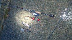 鳥取ノ荘でメバリング　雨で渋かったです…