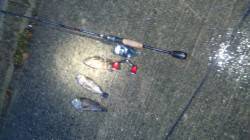 鳥取ノ荘でメバリング　雨で渋かったです..…