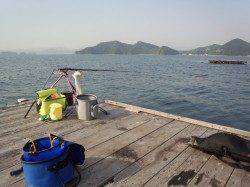 和歌山県三尾川にてアオリイカ釣り〜キレイにウキが沈み1760gゲット！