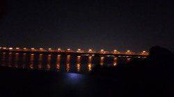 海老江の河川敷公園でウナギ狙い〜2戦2勝です(*^^*)