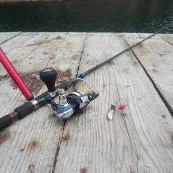 アオリイカとガシラ狙いに栖原の筏へ・・・