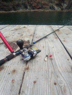 アオリイカとガシラ狙いに栖原の筏へ・・・