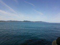 夕日港で朝まづめエギング　モンゴウが釣れました