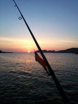 久美浜朝マズメにエギング〜満潮前に甲イカがhit♪