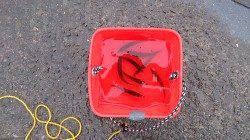 早朝アジ狙いで泉佐野食品コンビナートへ釣行