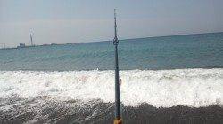 煙樹ヶ浜にてルアーでシイラゲット！